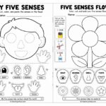 5 Senses Crafts for Preschool Learning
