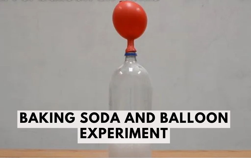 Baking Soda and Balloon Experiment – Fun & Easy Science!