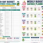 Budget Savings Challenge