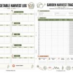 Garden Harvest Tracker: A Fun Way to Teach Kids About Gardening