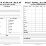Pet Health Checklist: A Complete Guide for Pet Owners (and a Fun Tool for Kids Too)