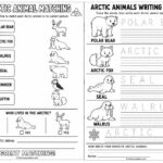 Fun Arctic Animal Activities: Hands On Science and Literacy for Preschoolers