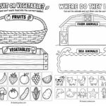 Visual Sorting Activities: Helping Kids Classify, Categorize, and Learn